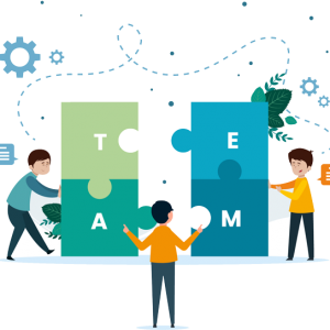 خرید پکیج طراحی سایت